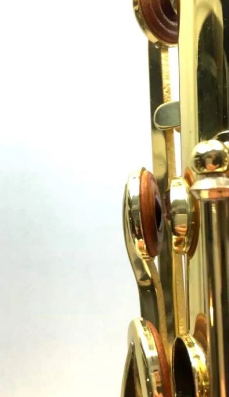 Saxfone Yamaha YTS 32  - Foto 5