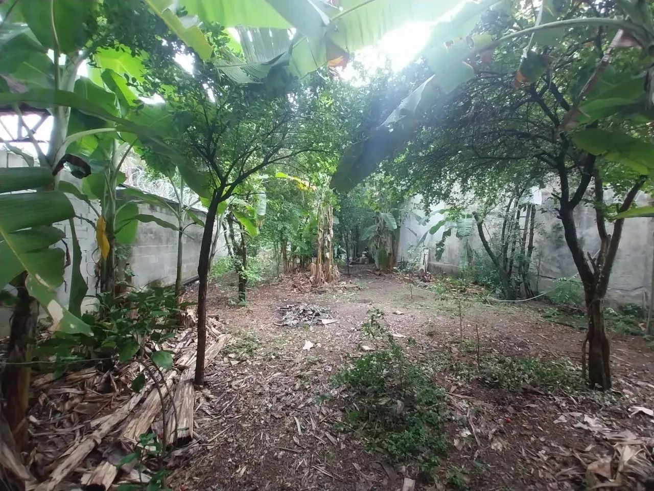 TERRENO PLANO NO PECHINCHA EM JPA COM 370 METROS QUADRADOS. - Foto 5