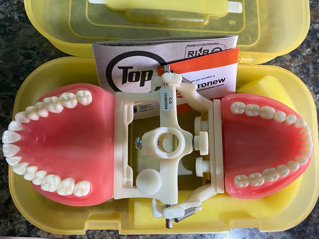 Manequim odontológico Pronew Top Dentística PD100 - Foto 3