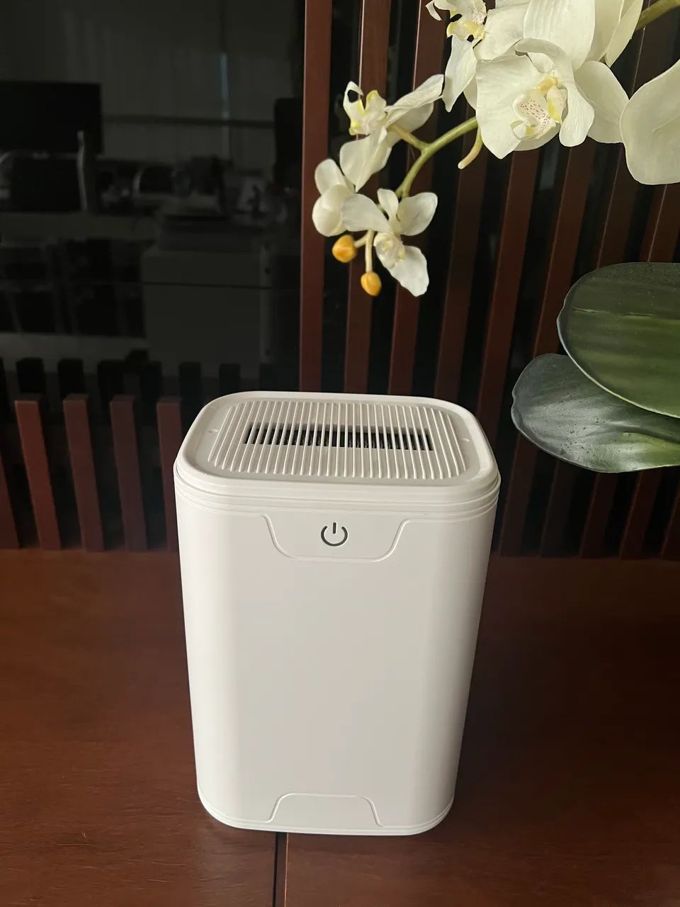 Desumidificador de ar portátil 