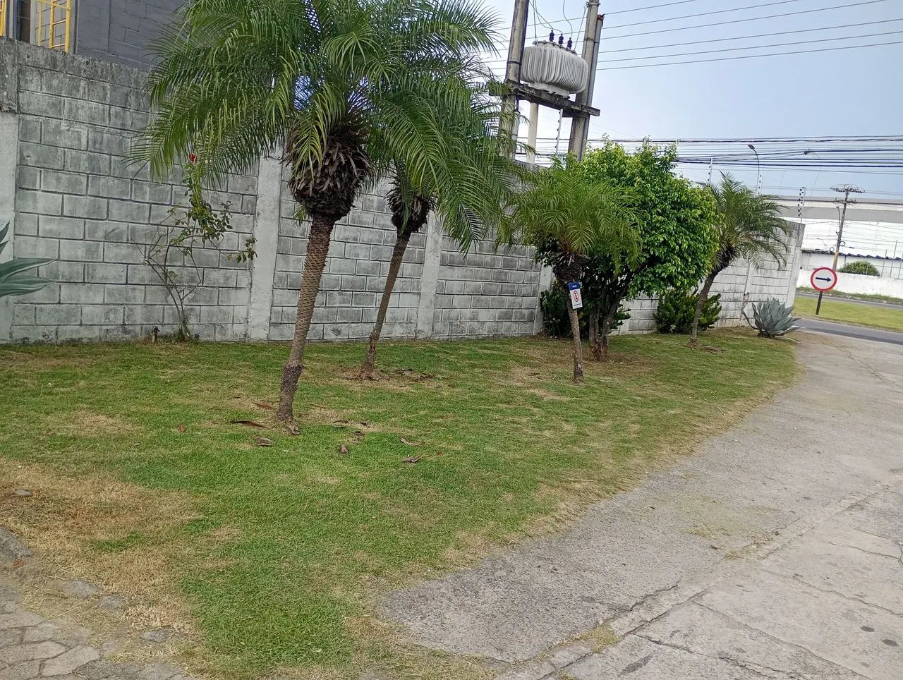 Jardinagem com excelência qualidade! - Foto 3