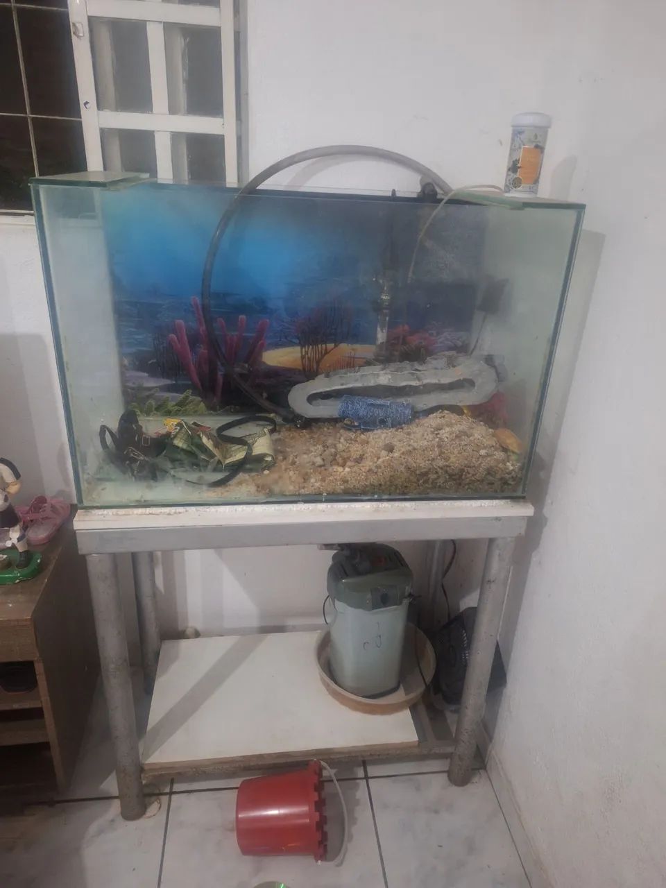 Agurio  - Foto 5