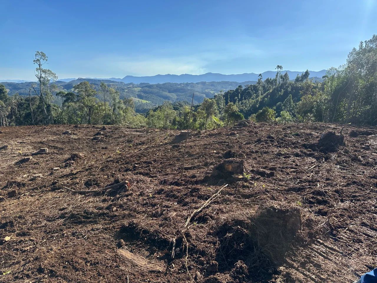Vendo sítio em Anitapolis 