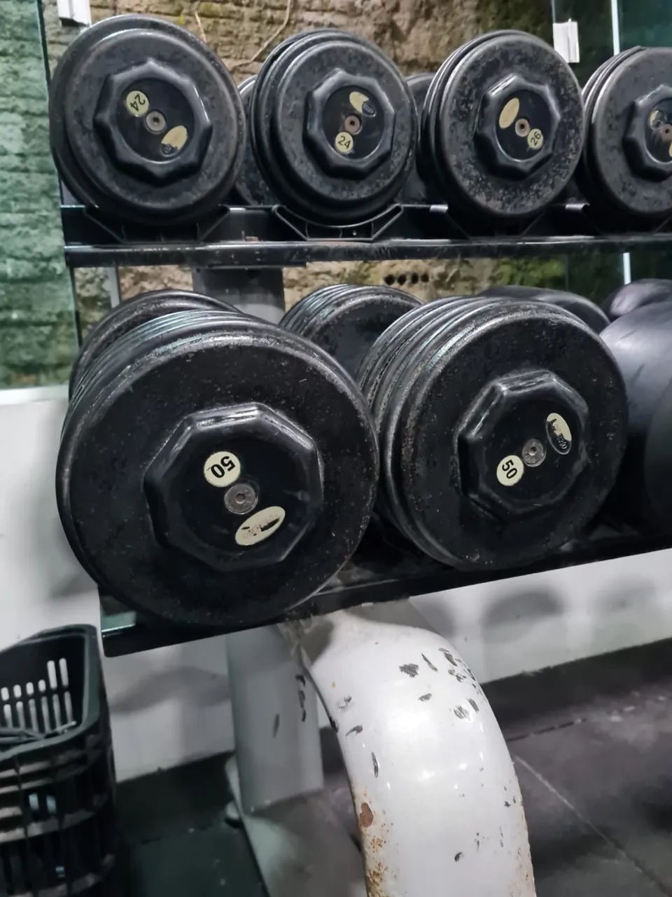 Halter 50kg - Foto 4