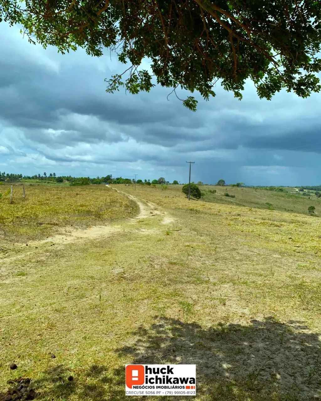 FAZENDA DE 1000 TAREFAS Umbaúba / Indiaroba - Foto 2