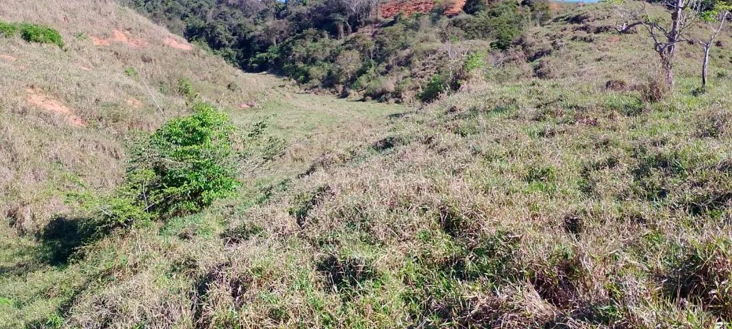 Terreno 07 hectares - Abre Campo, MG - Foto 2