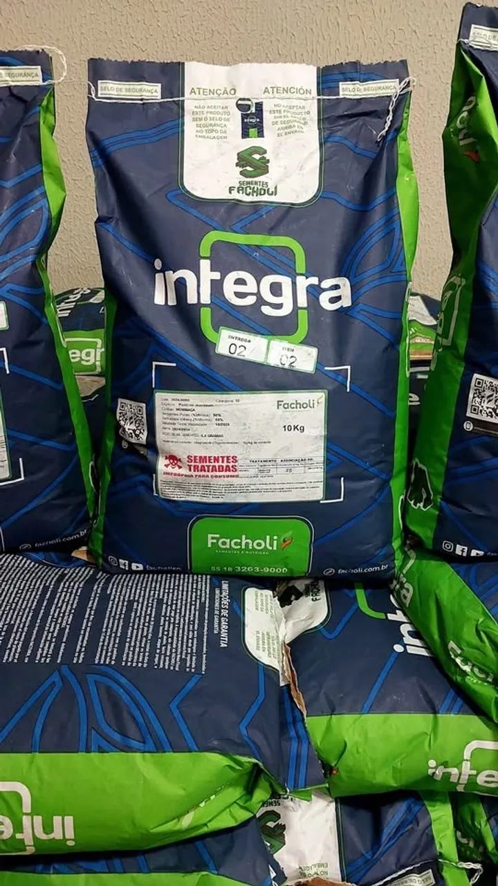 Semente de capim Mombaça 10kg revestida Facholli (Nova) - Foto 2