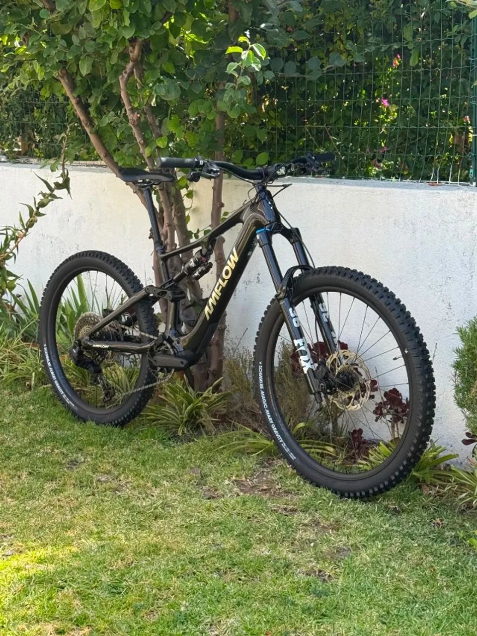 Bicicleta Amflow PX Carbon - Avinox - Foto 2