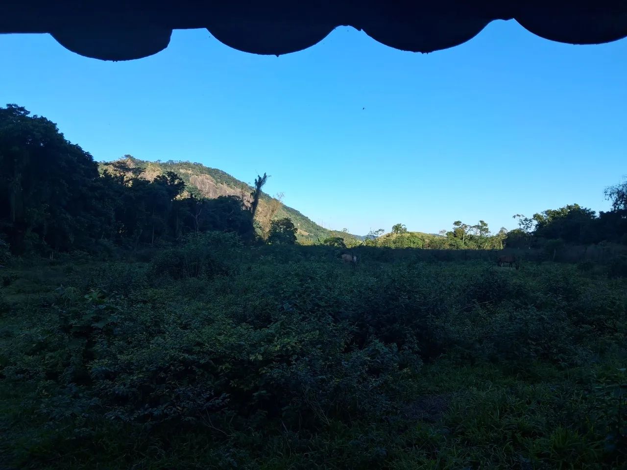 Mini sitio em Pau Grande - Foto 5