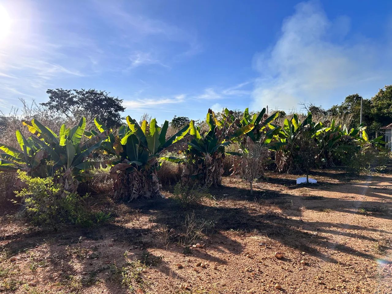Vendo lote de 1500m2 perto da Serra Do cipó  - Foto 3