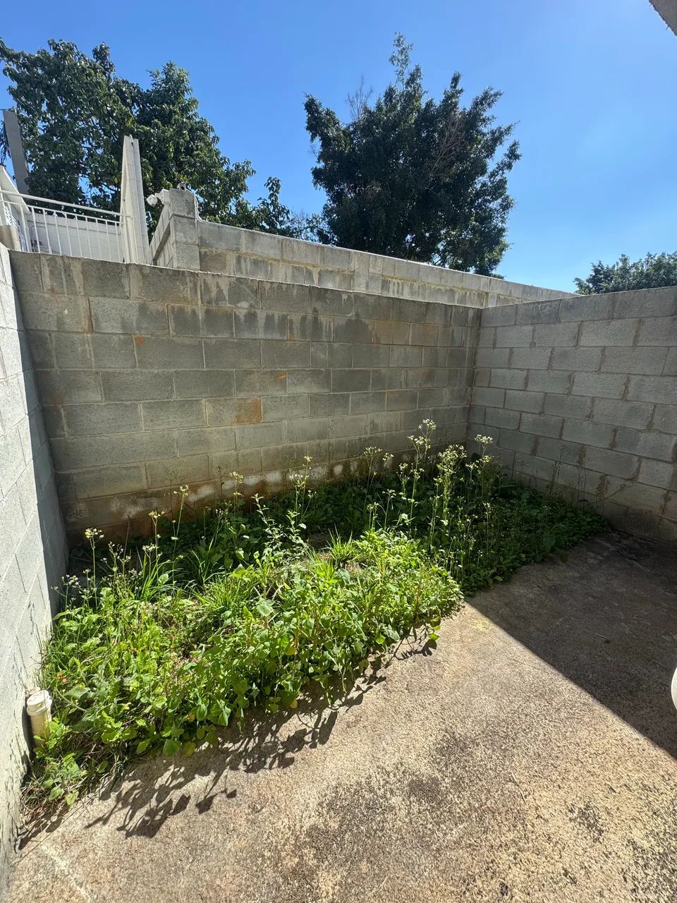 Vendo casa nova nunca habitada  - Foto 5