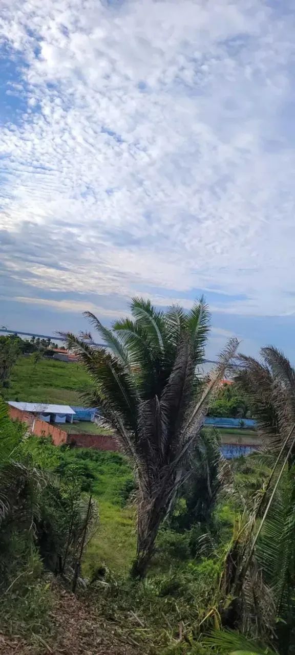 PRAIA DE PANAQUATIRA: Terreno à venda vista mar  Grande Ilha de São Luís. - Foto 2
