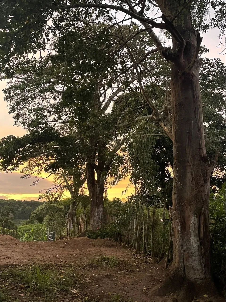 OPORTUNIDADE: Vendo Sitio escriturado perto de Bananeiras(10km) e Borborema (2k) - Foto 2
