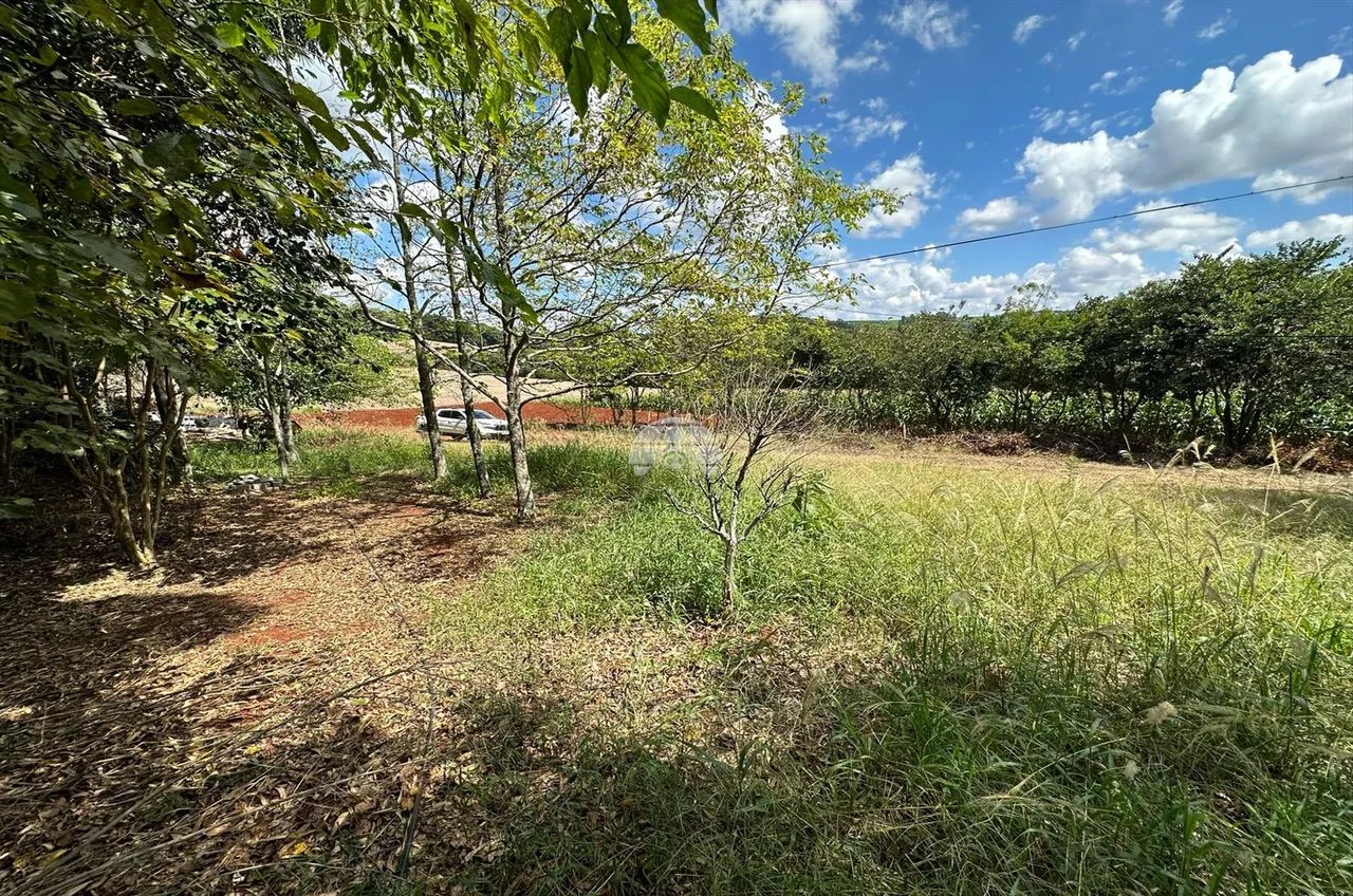 Vendas Terreno Pato Branco PR - Foto 4