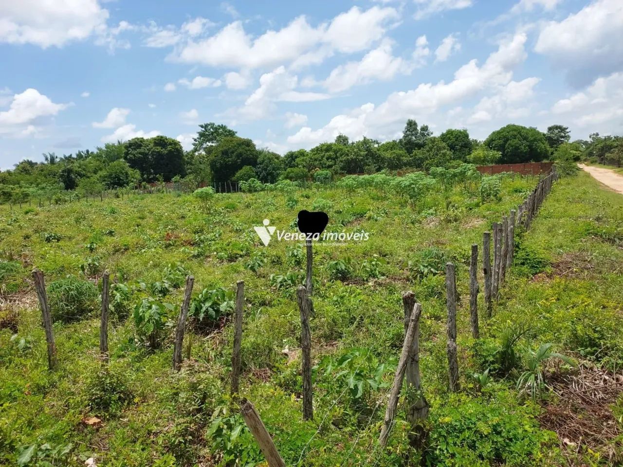 Terreno no povoado nova Olinda a venda - Foto 3