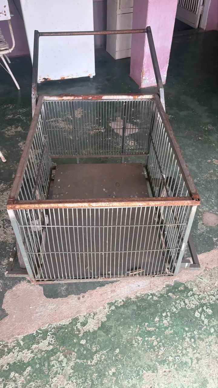 Carrinho de mão 
