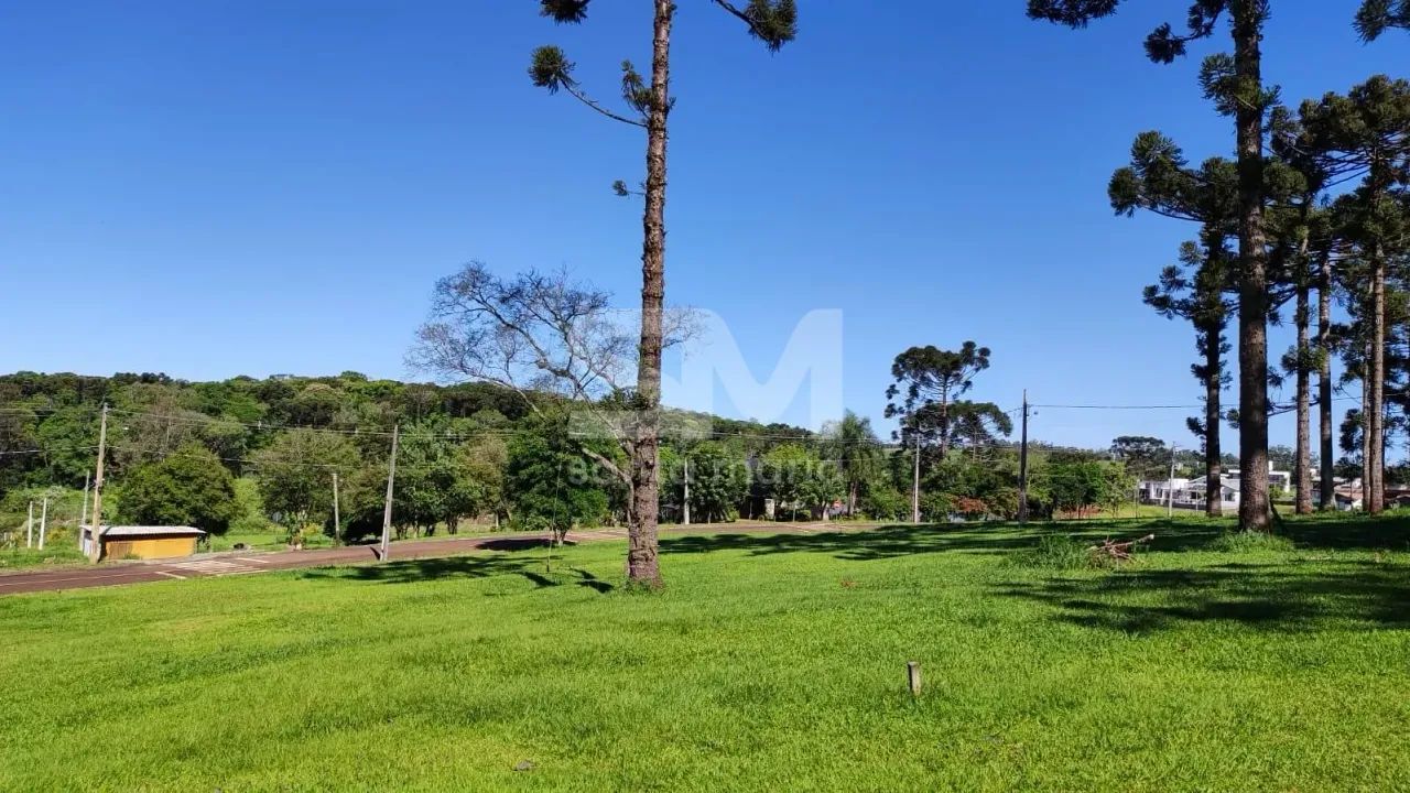 Terreno à venda, interior, Guatambú, SC - Foto 4