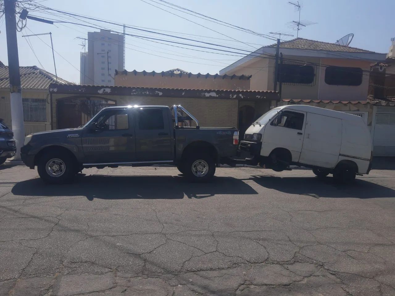 Guincho asa - Foto 3