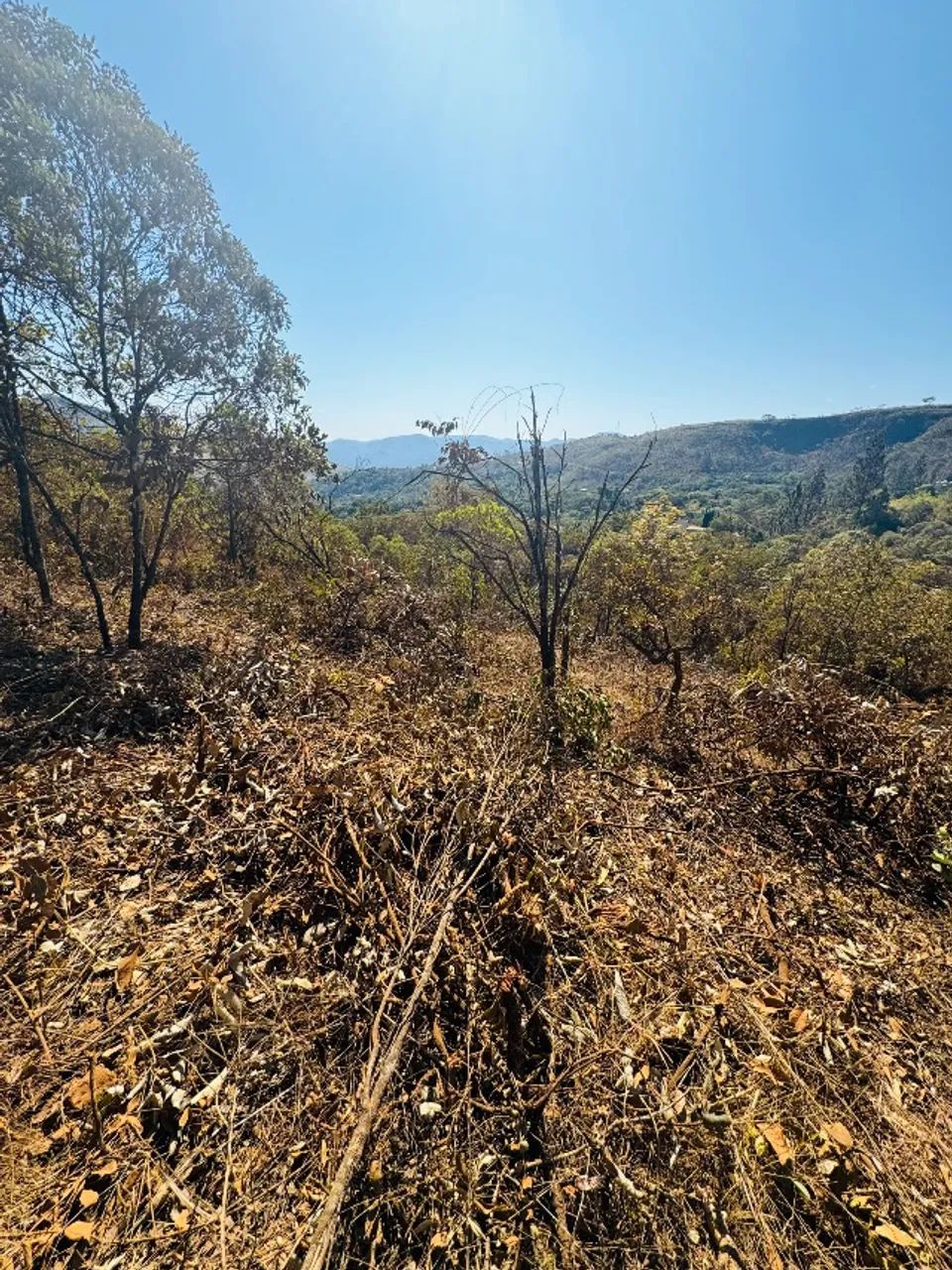 Terreno 1046m2 - Foto 5