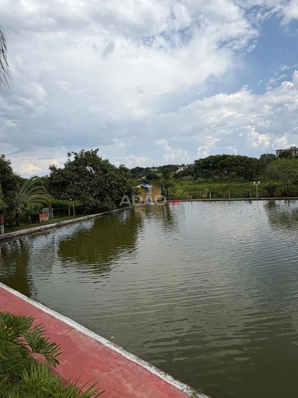Chácara dentro de Goiania - Foto 4