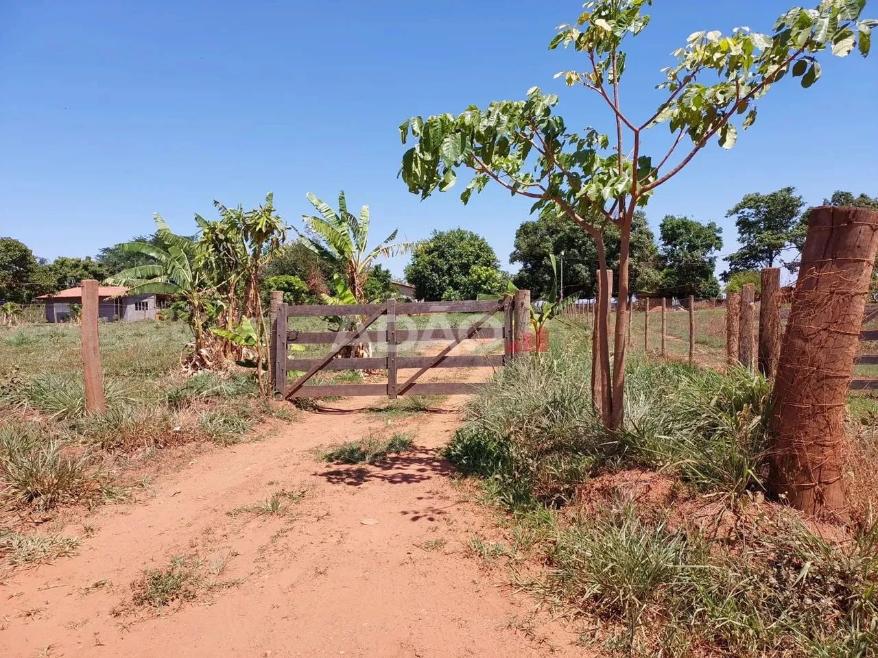 Chacara em Aragoiania Chácara à Venda, 3256.00 por R$ 350000.00 AD35979 - Foto 2