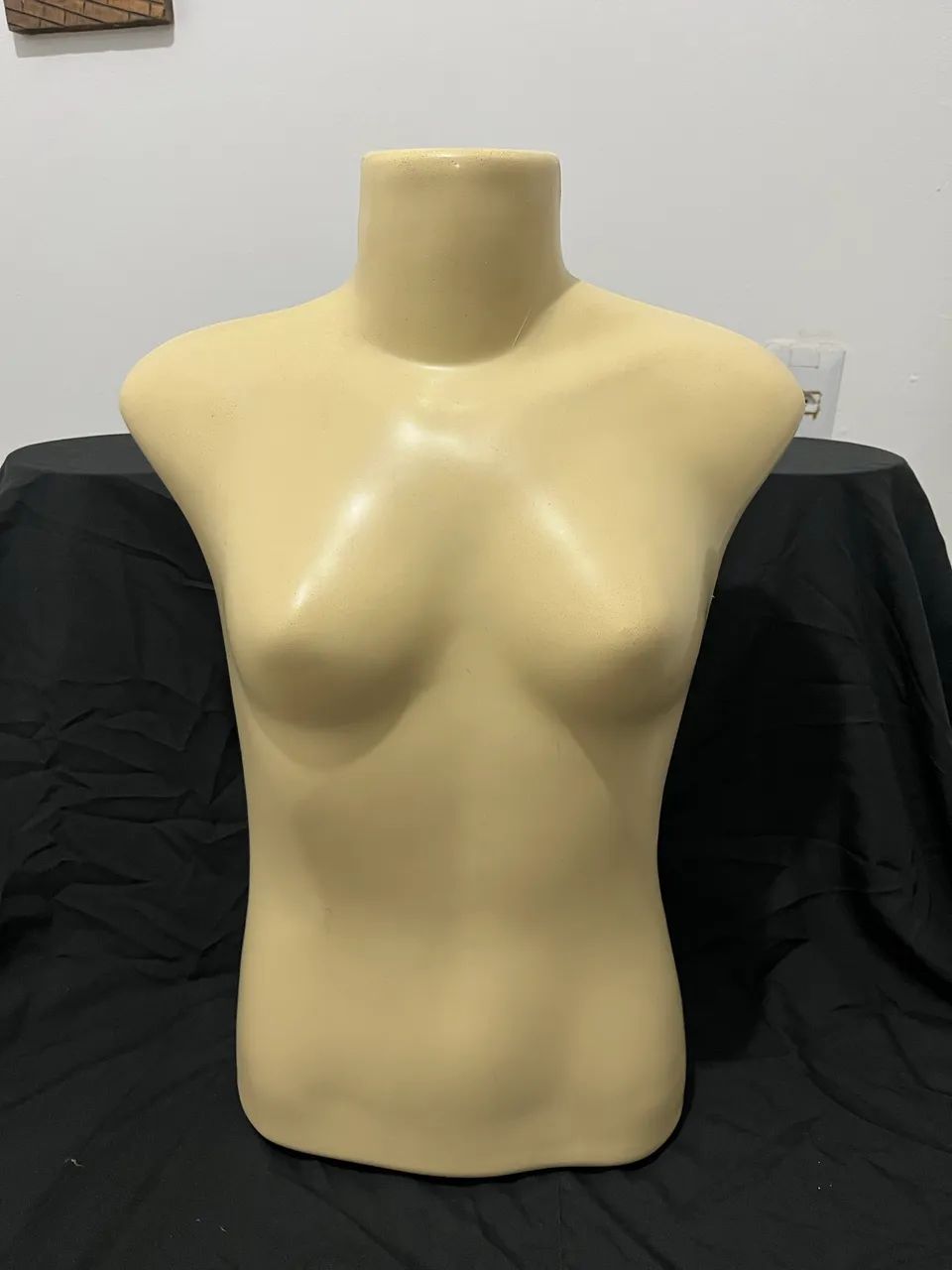 Bustos Femininos 