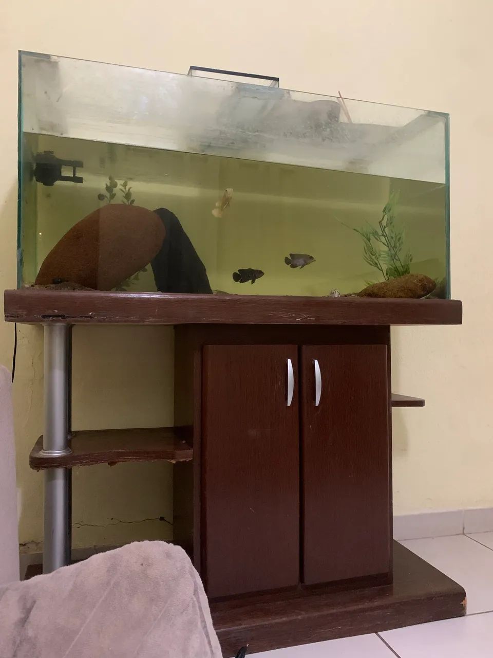 Aquario 200l - Foto 2