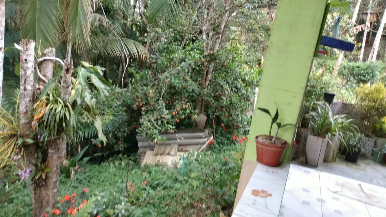 Chácara  Com Casa Juquitiba/miracatu  - Foto 5