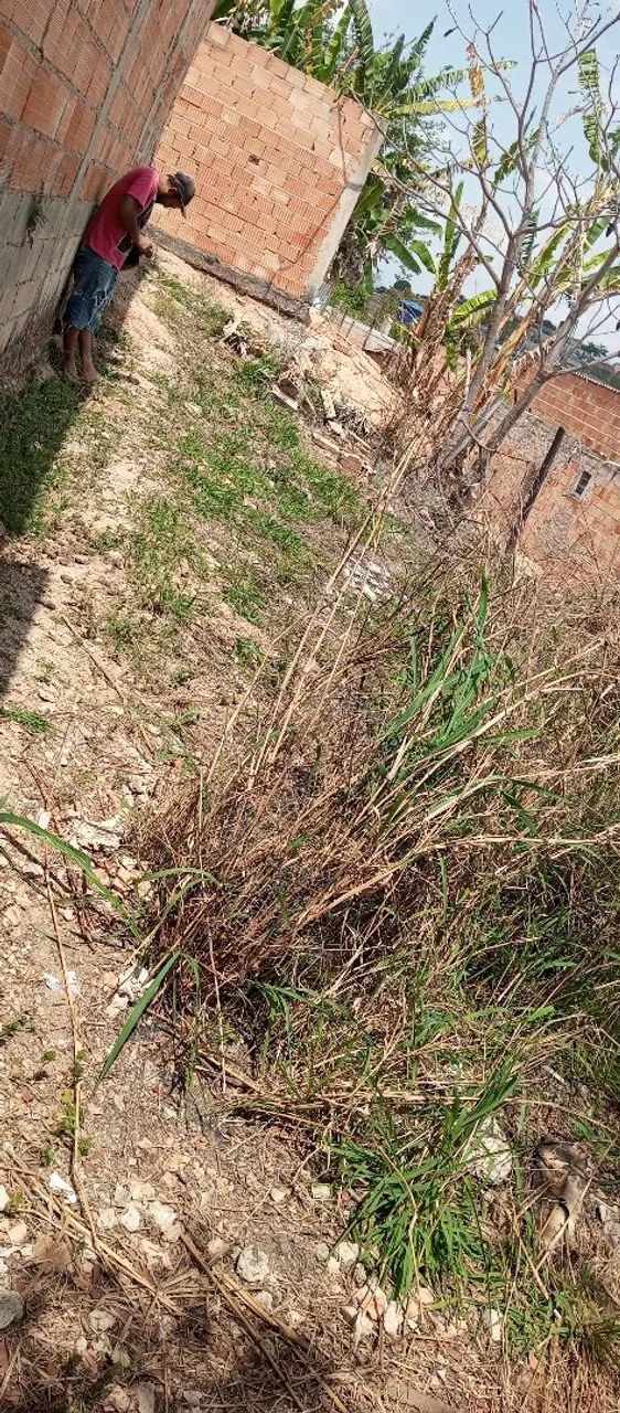 Área  - Foto 4