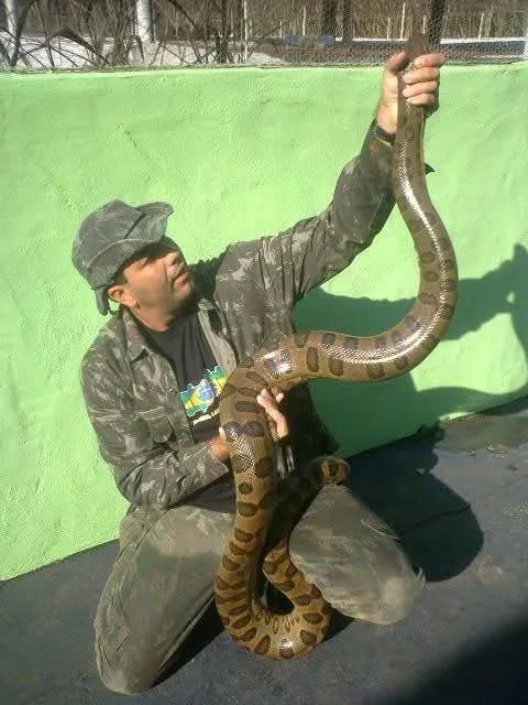 Curso sobre Serpentes e criação para produção de veneno. - Foto 5