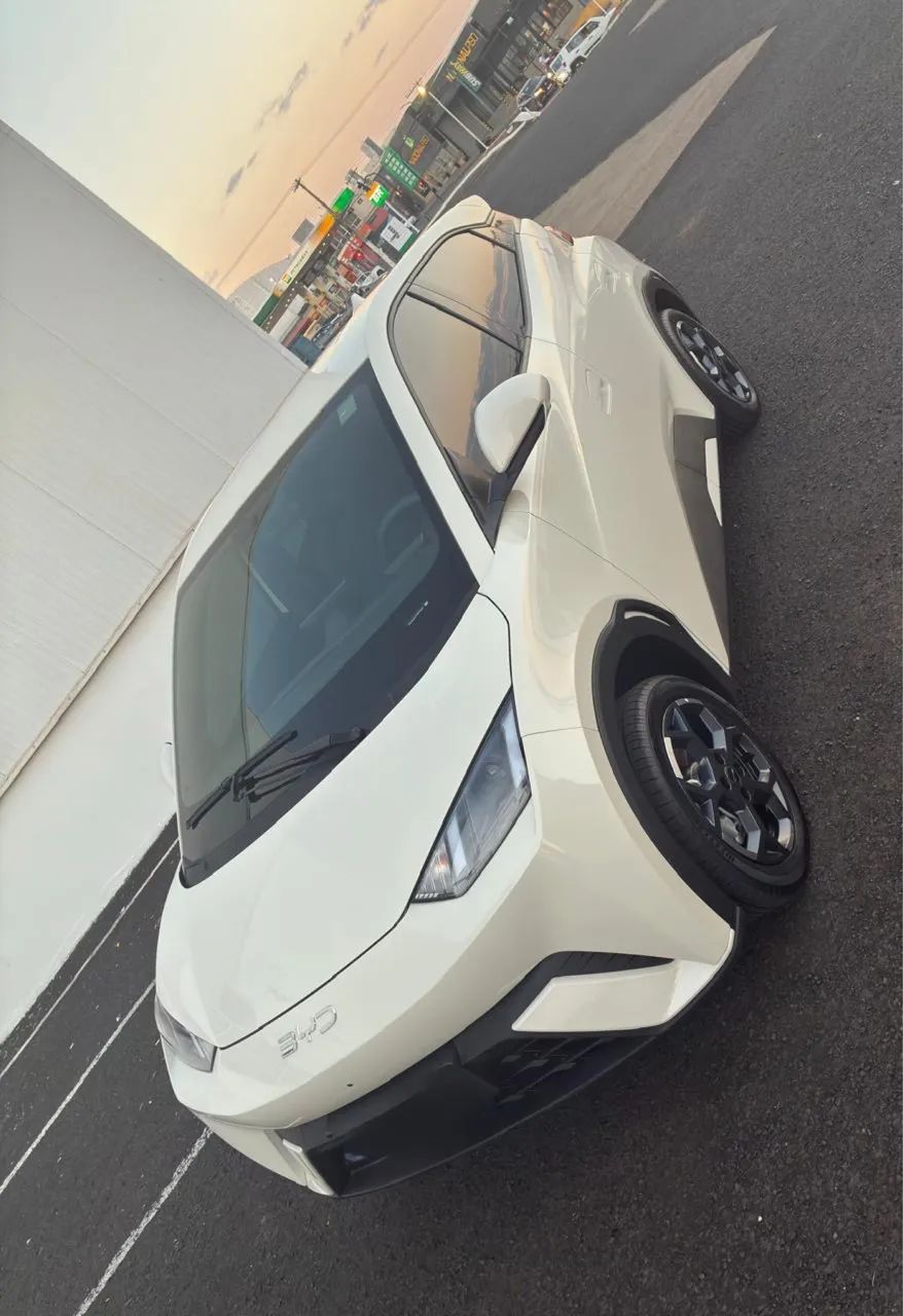 BYD Dolphin Mini (Elétrico) 2027
