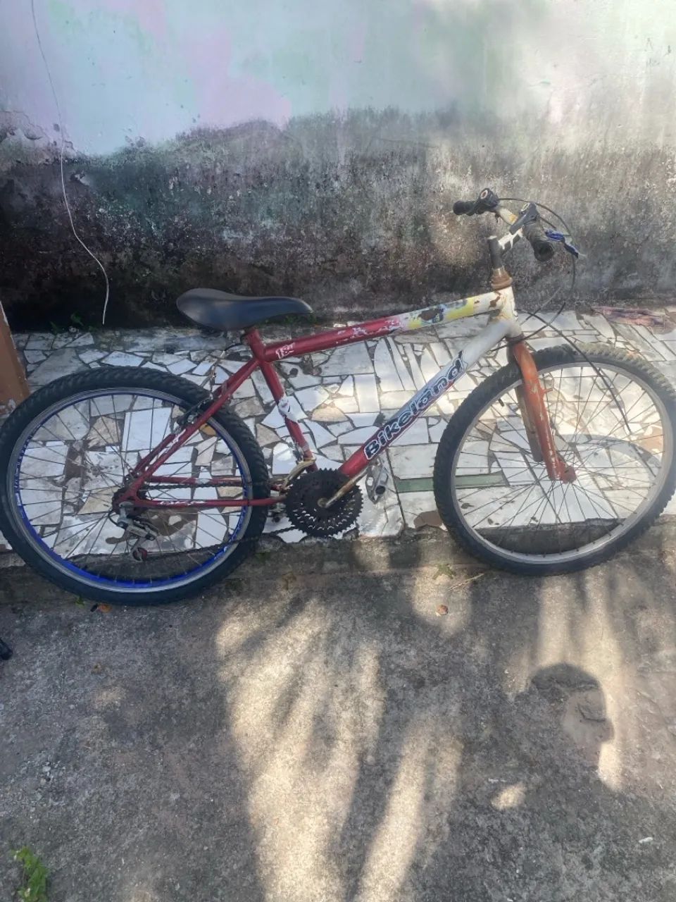 Bicicleta 
