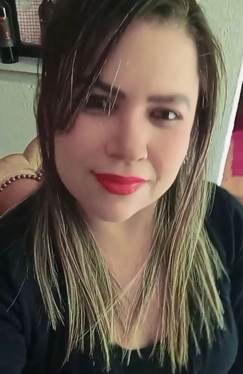 Sou Diarista 
