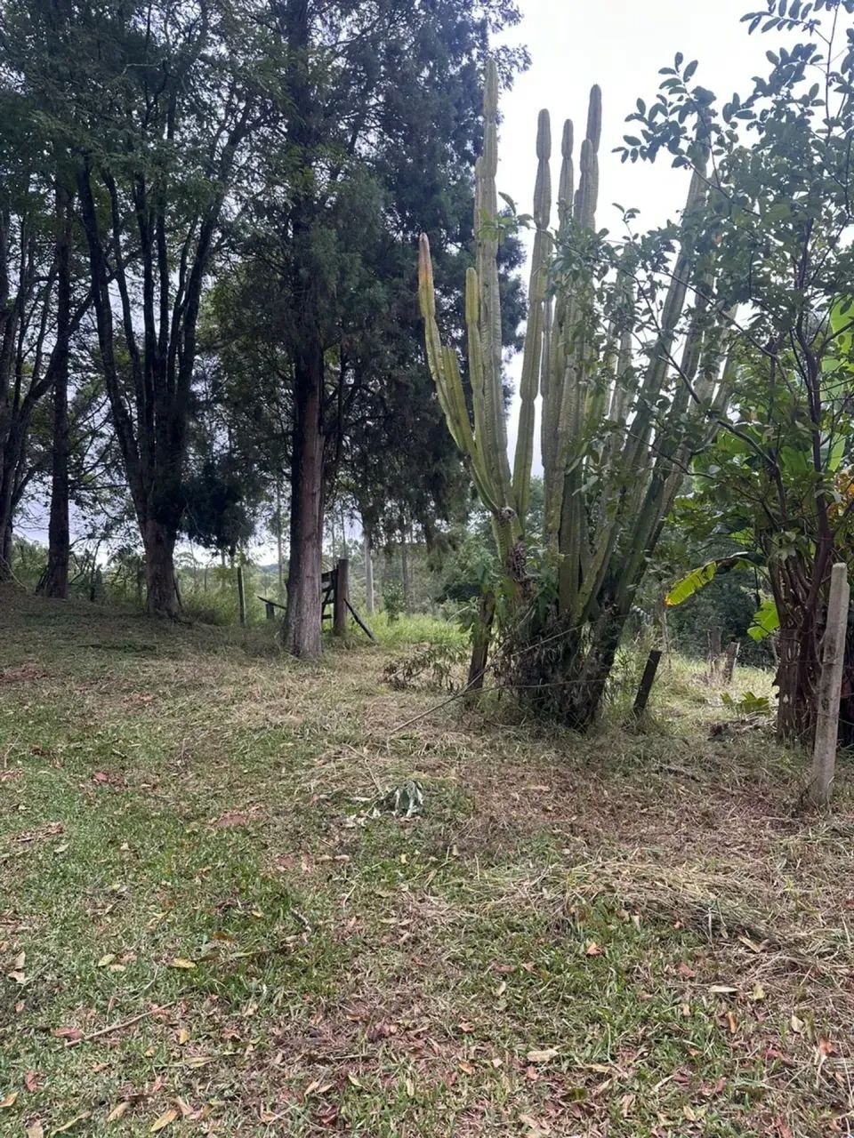 1.000m² em Mairinque | Viva Cercado Pela Natureza