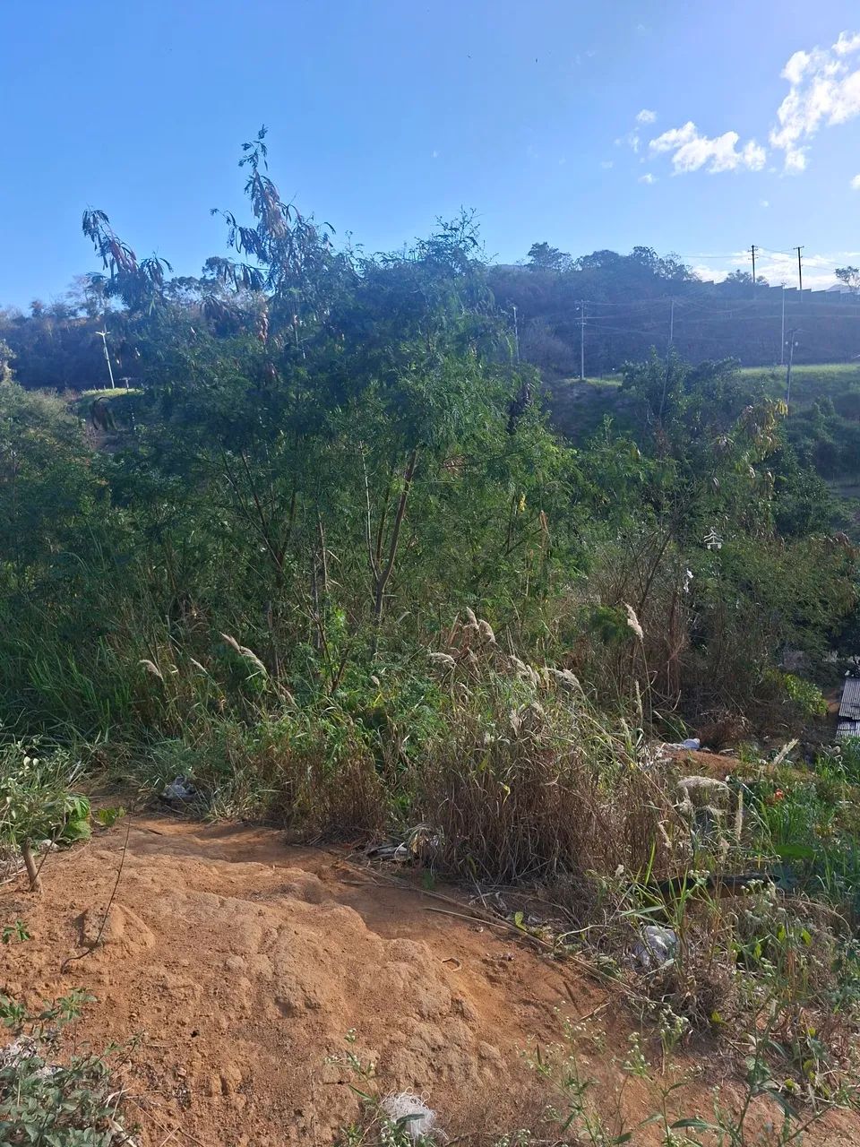 Vendo lote em flexal 2 - Foto 4
