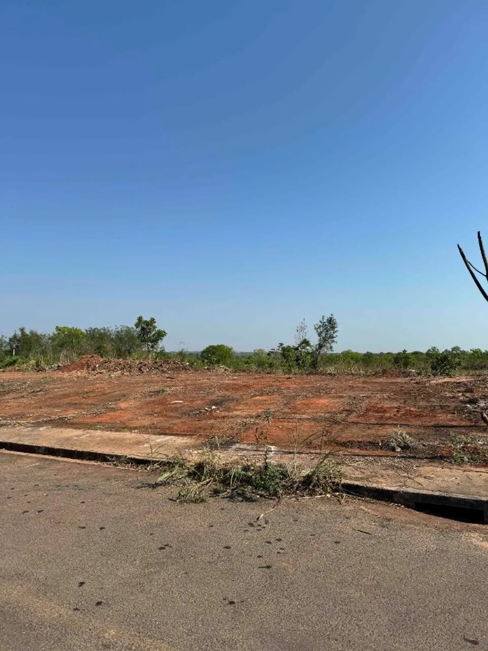 TERRENO RESIDENCIAL JACARANDÁ - Foto 2