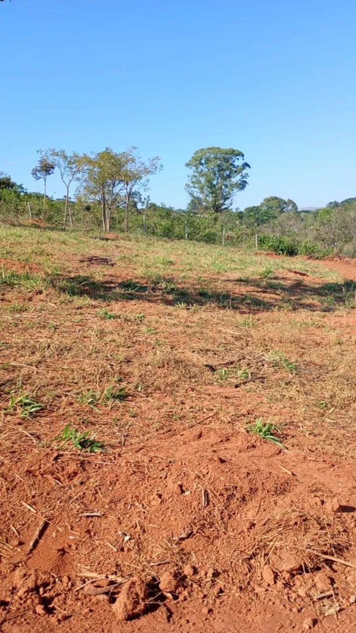 Chacaras rurais em mateus leme  - Foto 3
