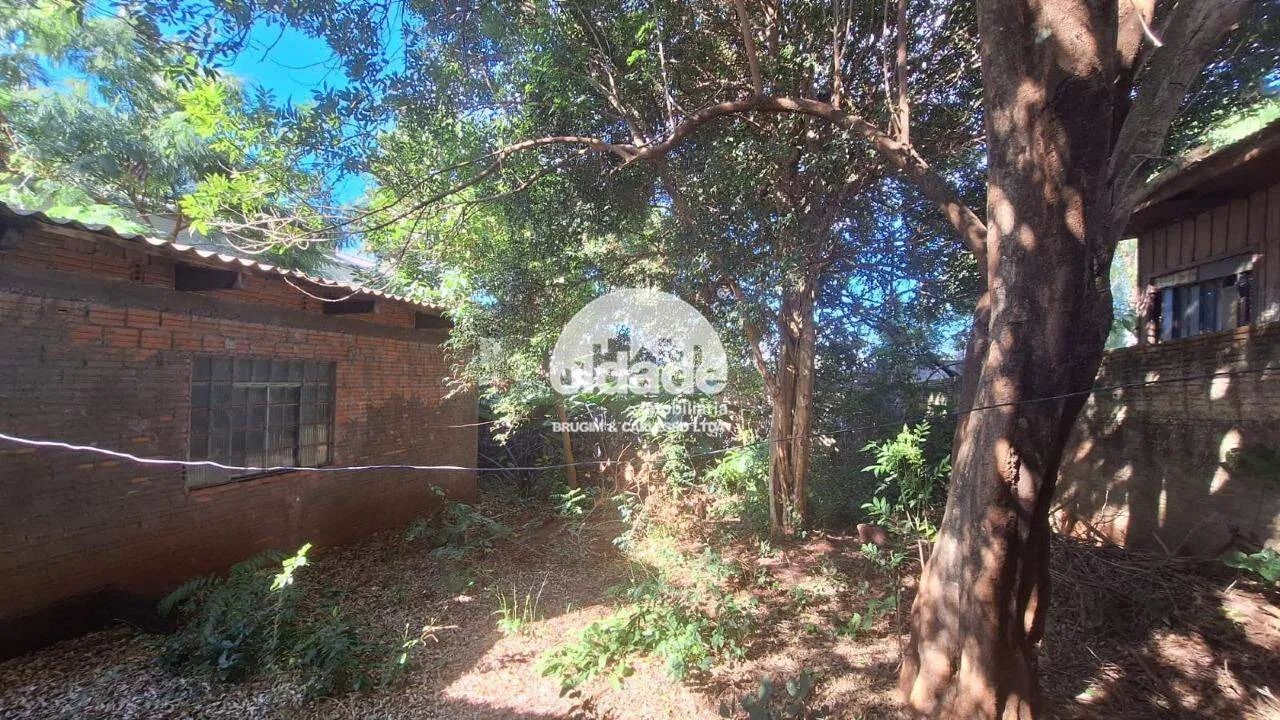Terreno á venda- Neva - Cascavel-PR - Foto 5