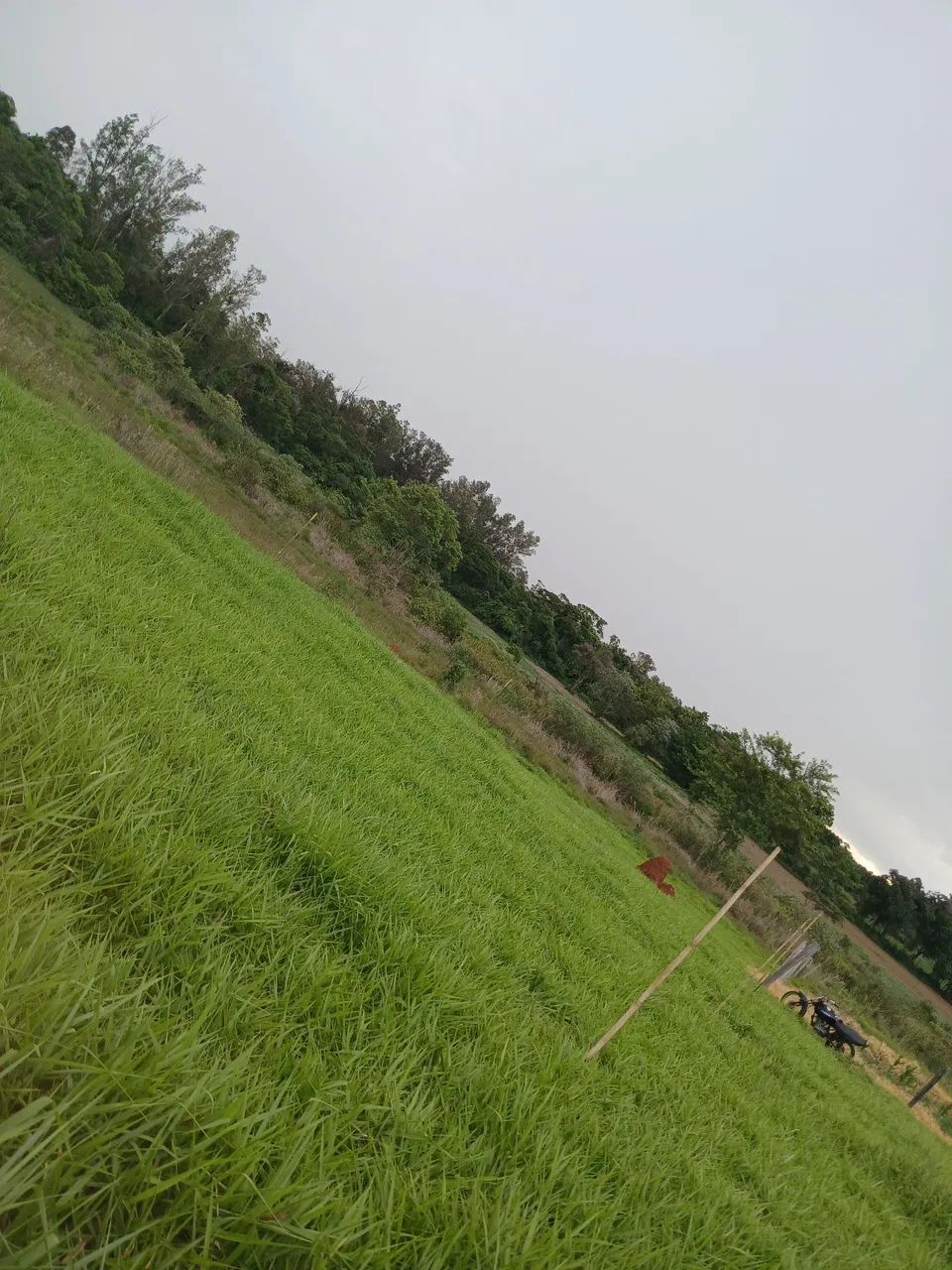Terreno à Venda - Cesário Lange / SP - Foto 4
