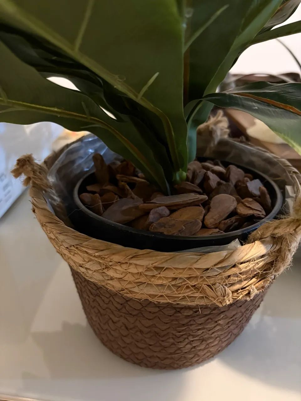 Vaso de planta - Decoração  - Foto 5