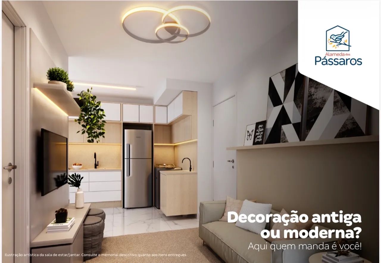 Foto - Recife - Passarinho