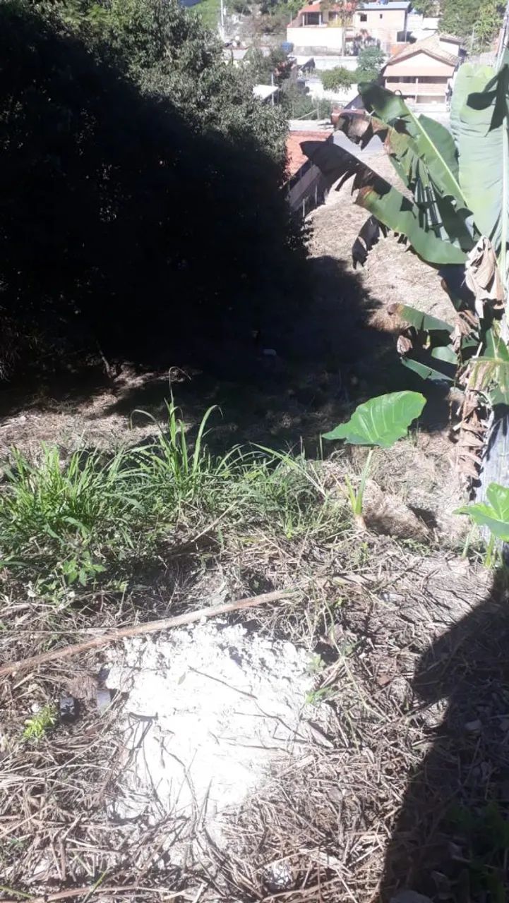Lote do Dom Carmelo - Foto 4