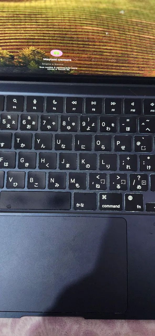 Apple  - Foto 5