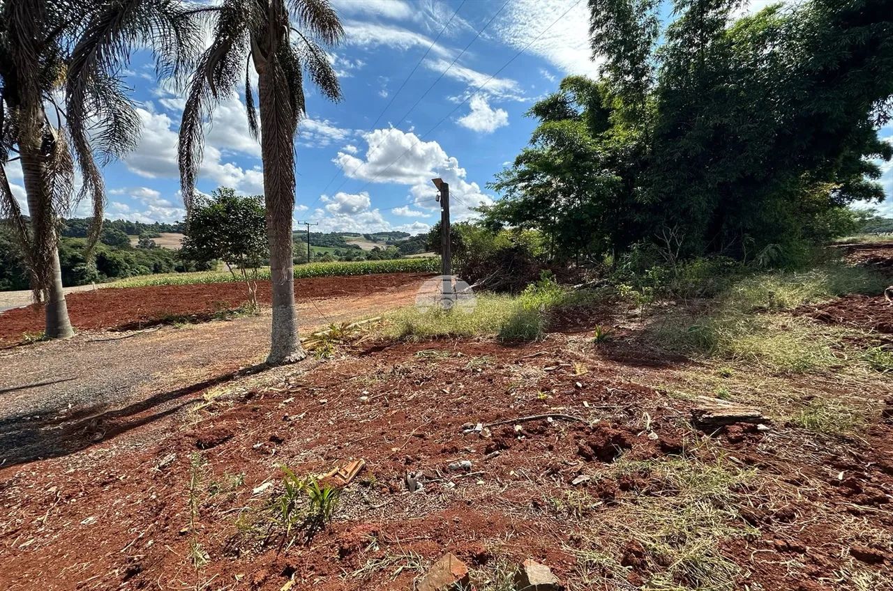 Vendas Terreno Pato Branco PR - Foto 2