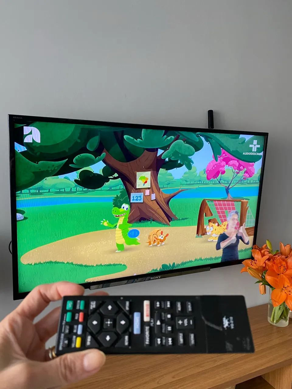 Tv Sony