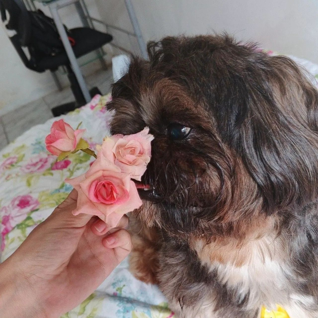 Vendo - Foto 4