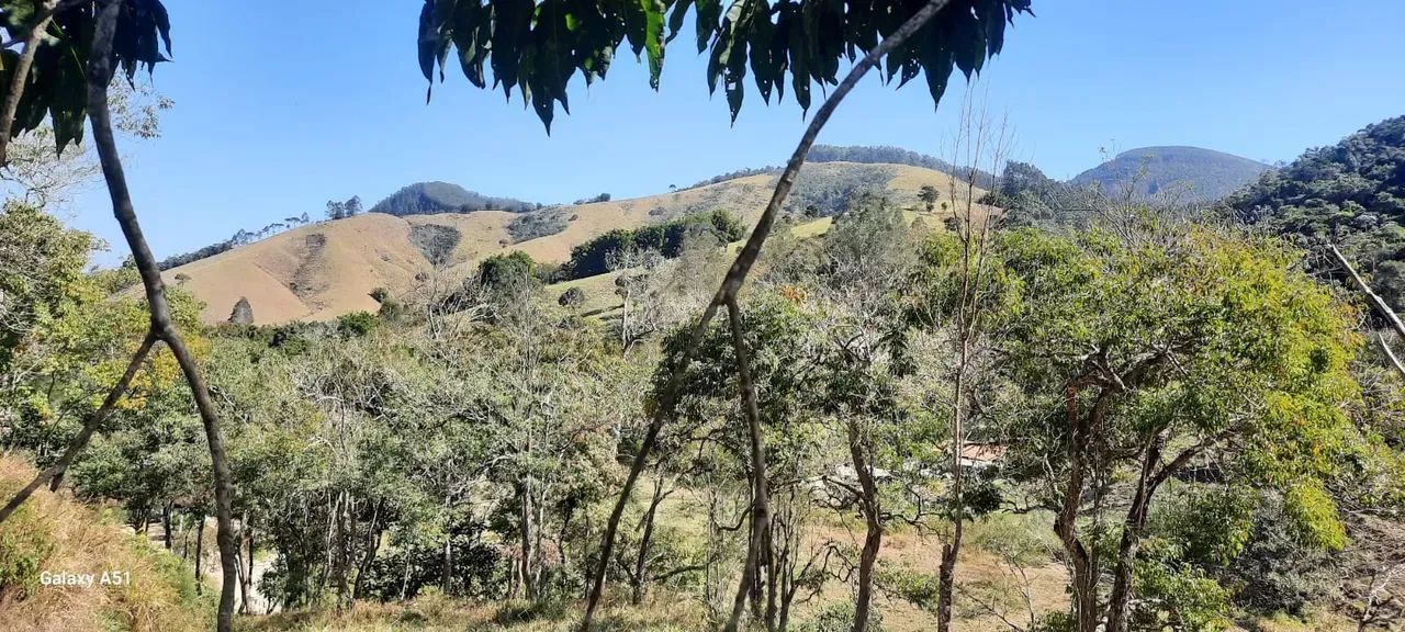 Sítio bairro Selado Paraibuna com 242000 m2 - - Foto 2