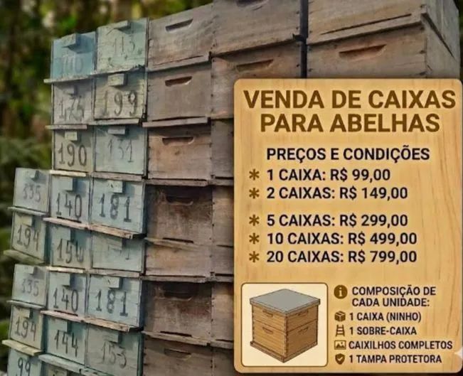 Caixas para abelhas  - Foto 6