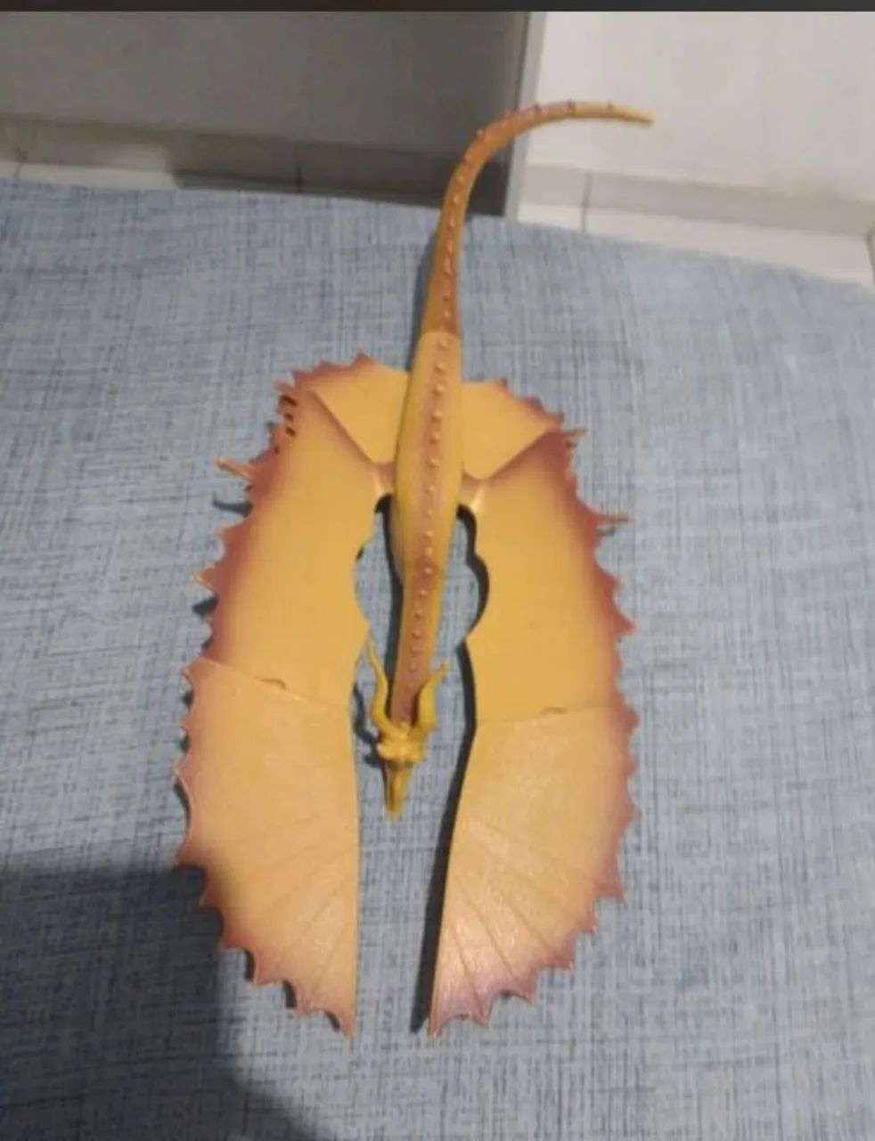 DRAGÃO  - Foto 4
