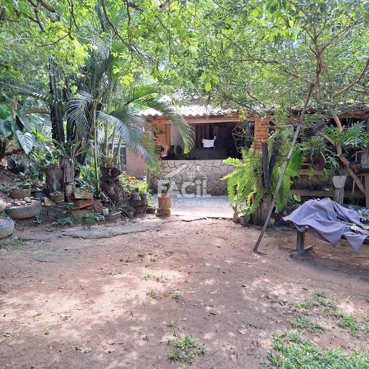 Propriedade Rural Completa com Duas Casas  Laranja da Terra - Foto 4